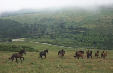 Publicidade CHM Enduro