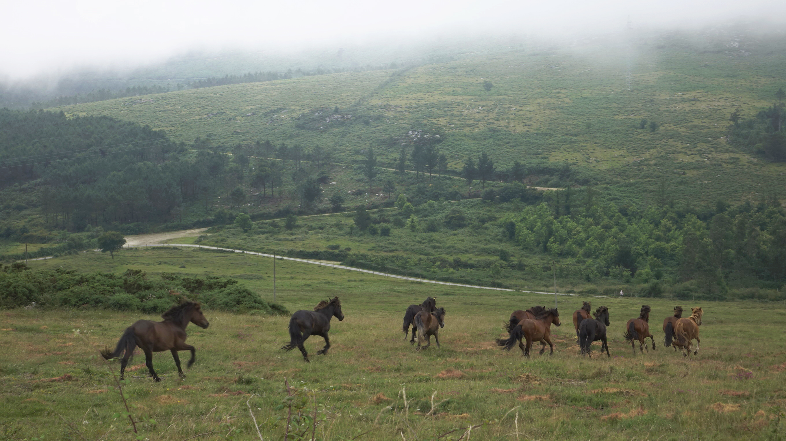 Publicidade CHM Enduro