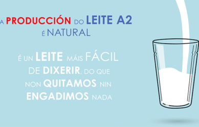 Motion graphics DELEITE